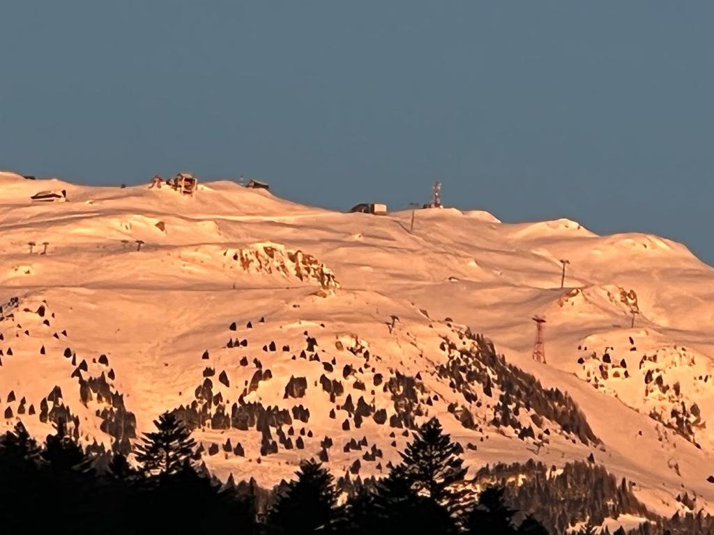 Coca Apart Mountain View ซินายา ภายนอก รูปภาพ