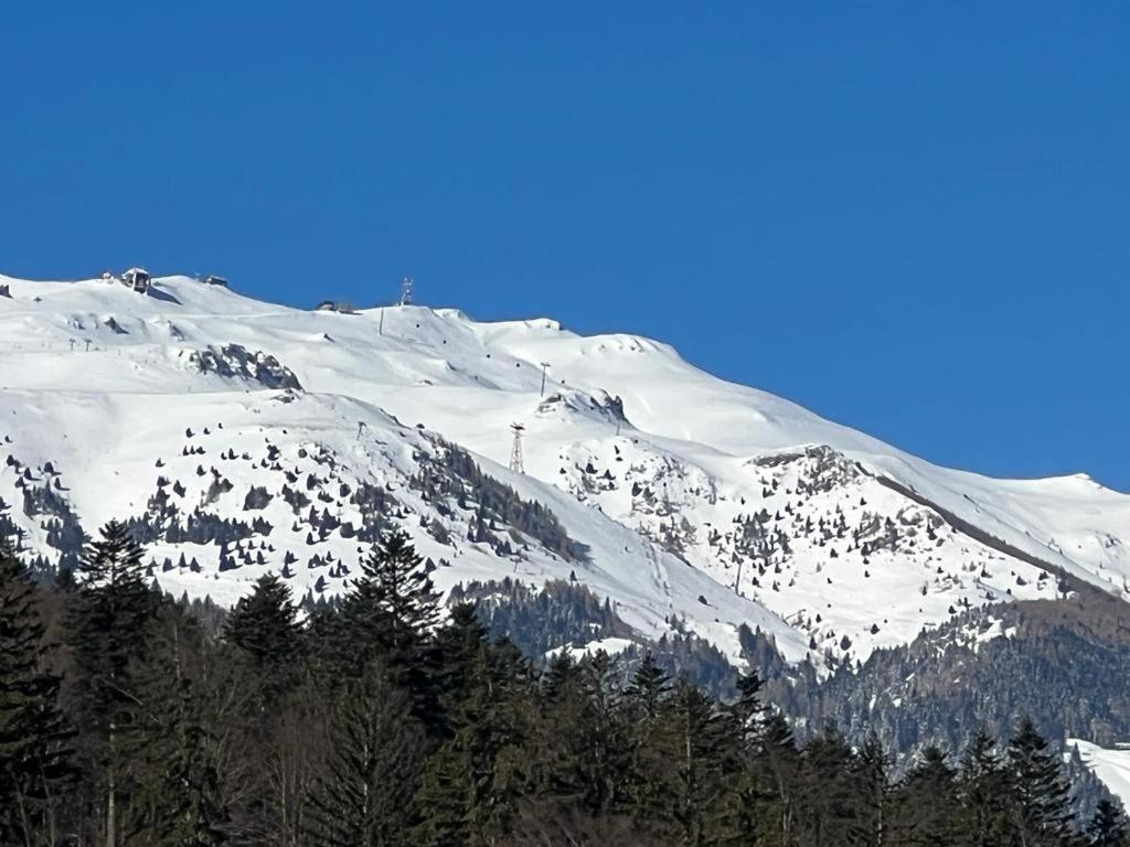 Coca Apart Mountain View ซินายา ภายนอก รูปภาพ